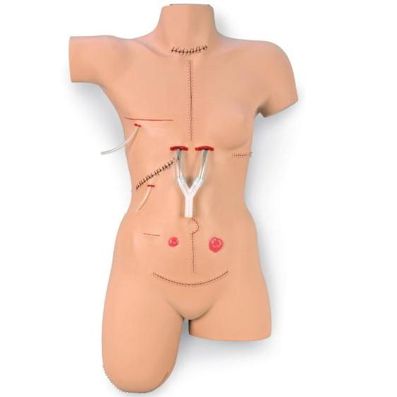 Modele zabiegowe Nasco Sally