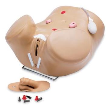 Modele zabiegowe Nasco SB28919U