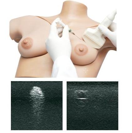 Modele zabiegowe Nasco Symulator do badania piersi i biopsji torbieli pod kontrolą USG SB48847U