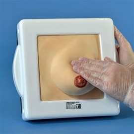 Modele zabiegowe Laerdal Symulator do nauki badania i diagnostyki piersi