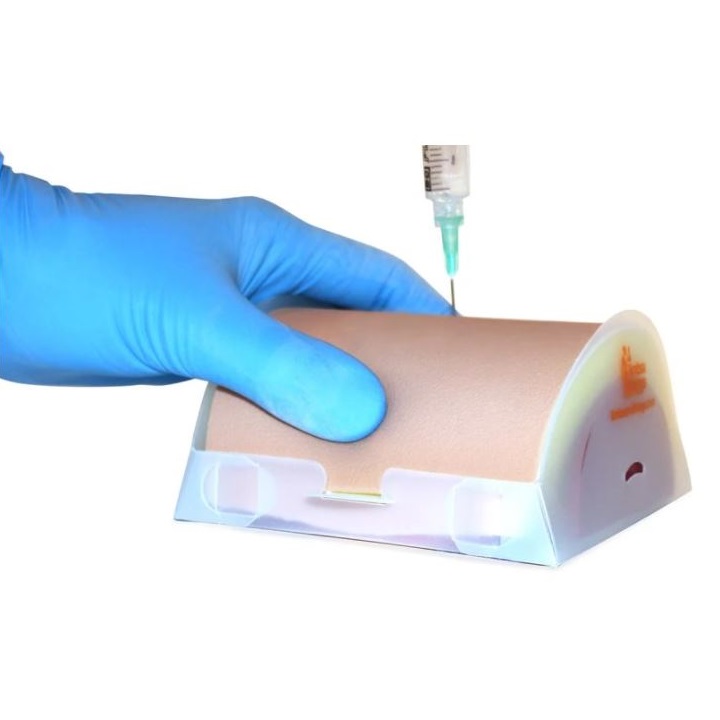 Modele zabiegowe Limbs&Things Vaccine IM Injection