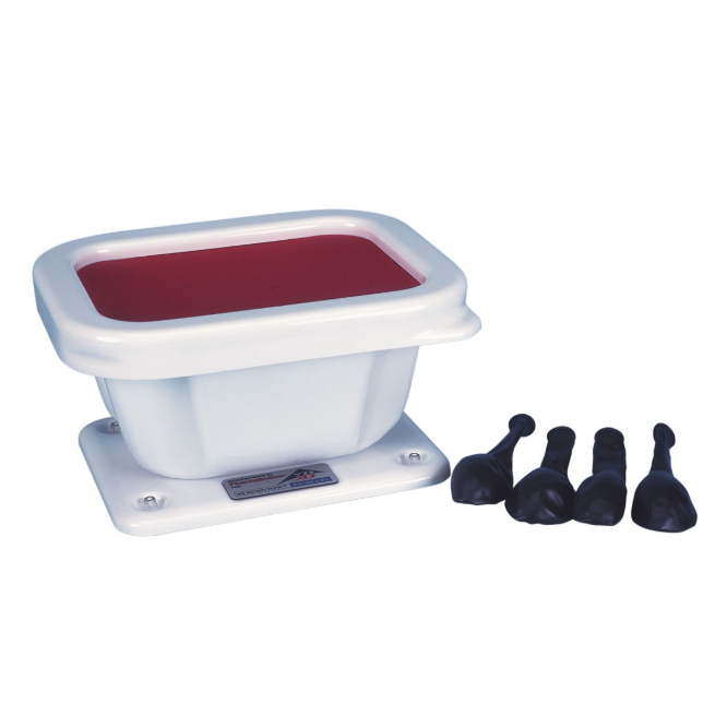 Modele zabiegowe 3B Scientific W19310