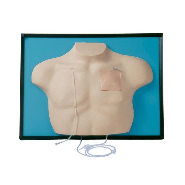 Modele zabiegowe 3B Scientific W43007