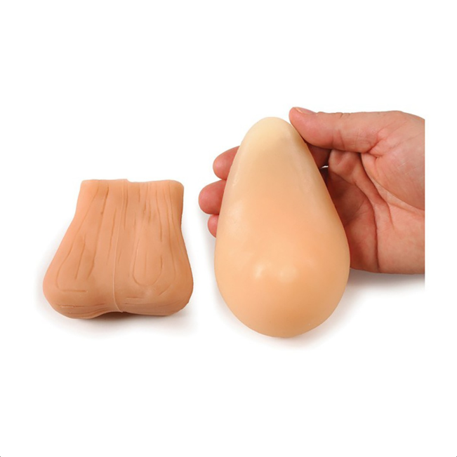 Modele zabiegowe 3B Scientific W43104