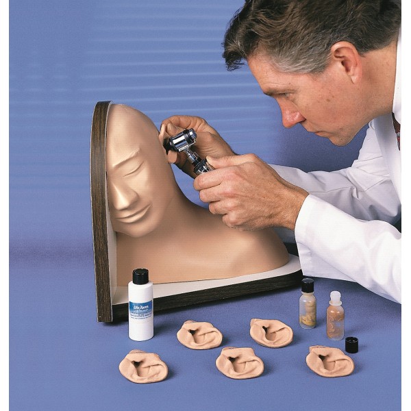 Modele zabiegowe 3B Scientific W44122