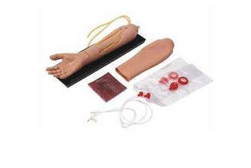 Modele zabiegowe 3B Scientific W44582