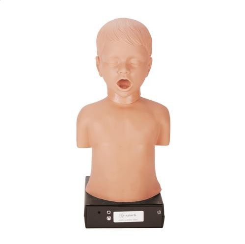 Modele zabiegowe 3B Scientific W44744