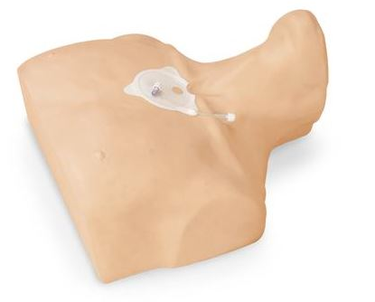 Modele zabiegowe 3B Scientific W44772