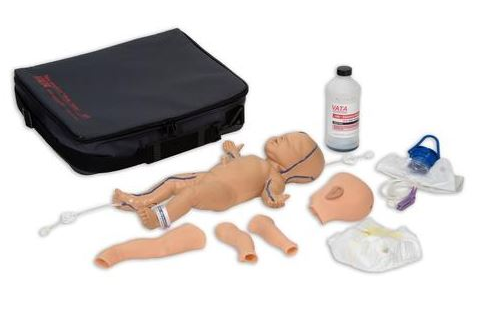 Modele zabiegowe 3B Scientific W46502/1