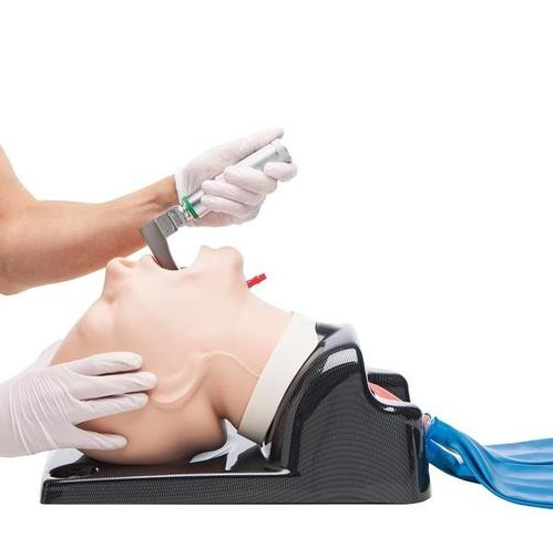 Modele zabiegowe 3B Scientific W47404