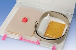 Modele zabiegowe 3B Scientific W60910