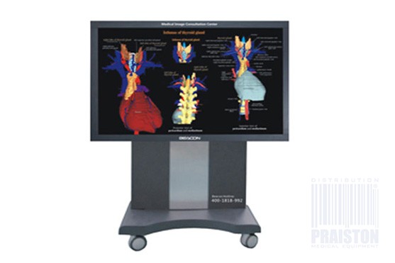Monitory medyczne BEACON M552T