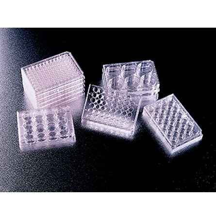 Naczynia do hodowli komórkowych Corning Life Science Płytki wielodołkowe