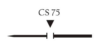 Nici chirurgiczne z igłą prostą Vigilenz Silk S07CS750