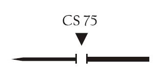 Nici chirurgiczne z igłą prostą Vigilenz Silk S27CS750