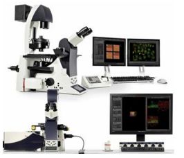 Oprogramowanie mikroskopowe LEICA HCS A