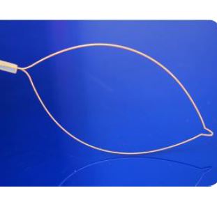 Pętle do endoskopów giętkich Zhuji Pengtian Medical Jednorazowe pętle do polipektomii obrotowe