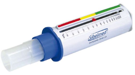 Pikflometry Sibelmed DATOSPIR PEAK 10 - wersja dla dorosłych