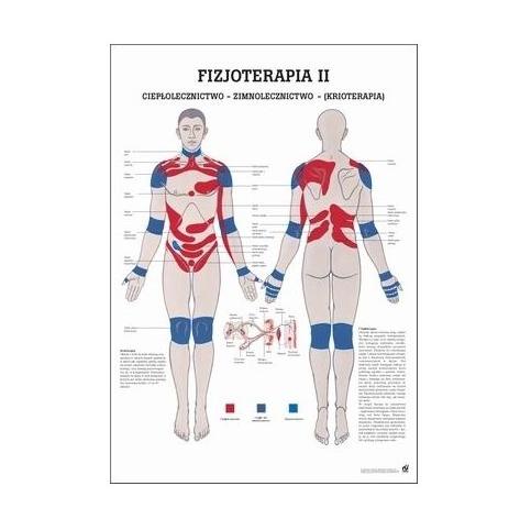Plansze anatomiczne Rüdiger-Anatomie Fizjoterapia II