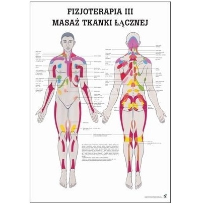 Plansze anatomiczne Rüdiger-Anatomie Masaż tkanki łącznej