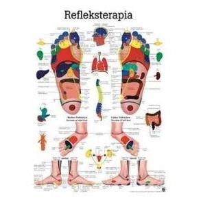 Plansze anatomiczne Rüdiger-Anatomie Refleksterapia stopy