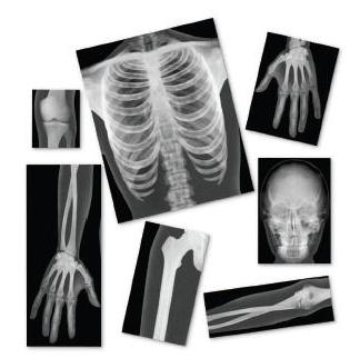 Plansze edukacyjne Nasco SB40317U