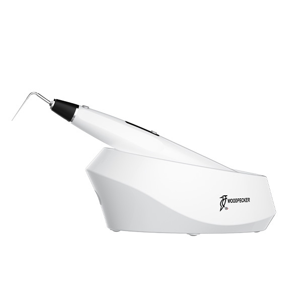 Pluggery gutaperki Woodpecker FI-P