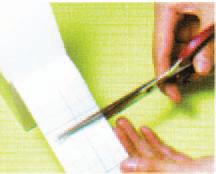 Przylepce - rolka ZARYS przylepiec