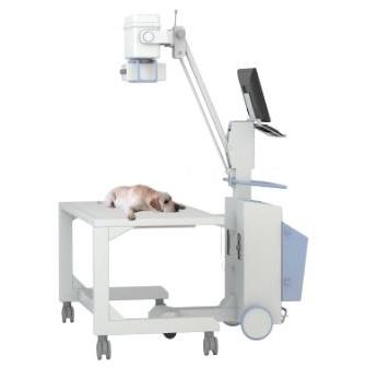 RTG weterynaryjne przenośne Perlove VET1010