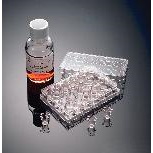 Suplementy i dodatki do hodowli komórek Corning Life Science Corning BioCoat Matrigel Komory inwazyjne