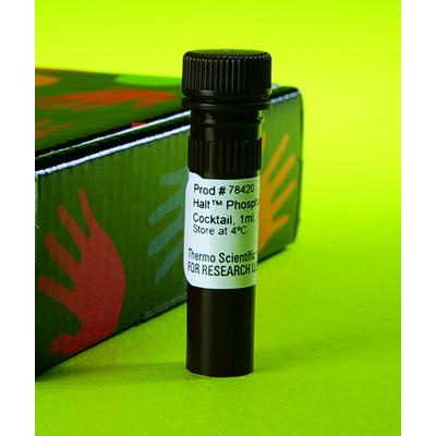 Suplementy i dodatki do hodowli komórek THERMO SCIENTIFIC Koktajl inhibitorów fosfatazy Halt