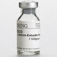 Suplementy i dodatki do hodowli komórek Corning Life Science Laminina
