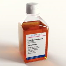 Surowice Biowest Płodowa surowica bydlęca (FBS) zatwierdzone przez USDA