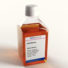 Surowice Biowest Surowica cielęca