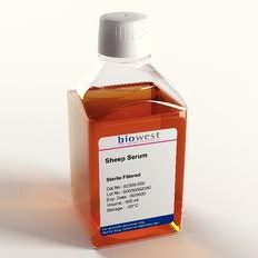 Surowice Biowest Surowica owcza
