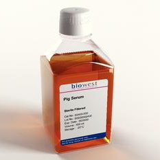 Surowice Biowest Surowica świni