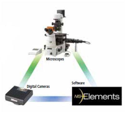 Systemy komputerowej analizy badań mikroskopowych Nikon NIS Elements
