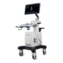 Ultrasonografy stacjonarne wielonarządowe - USG Anasonic SC59