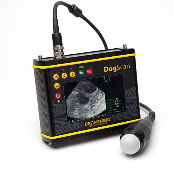 Ultrasonografy weterynaryjne - USG DRAMIŃSKI DogScan
