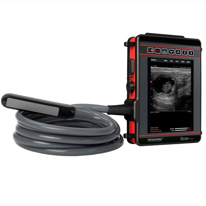 Ultrasonografy weterynaryjne - USG DRAMIŃSKI iScan Mini