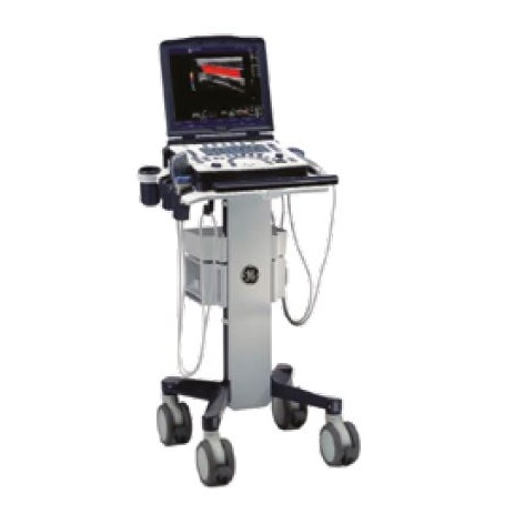 Ultrasonografy weterynaryjne - USG GE Healthcare LOGIQ V2