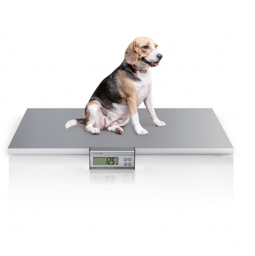 Wagi weterynaryjne charder VS 2400