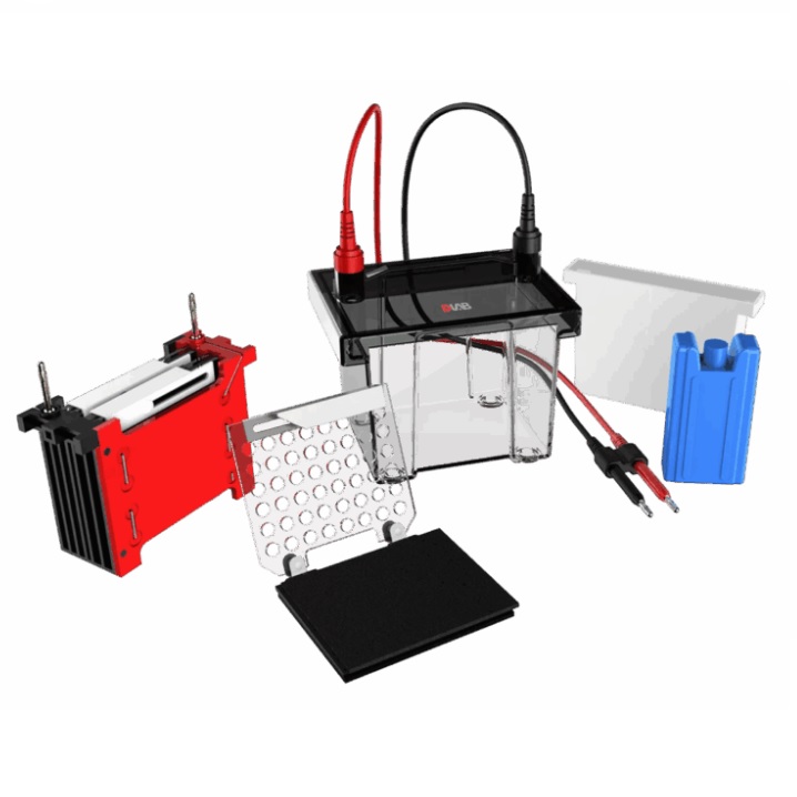 Zbiorniki do elektroforezy DLAB Scientific DL-ZY02