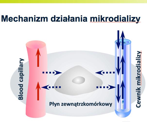 Analizatory biochemiczne M Dialysis AB ISCUS Flex