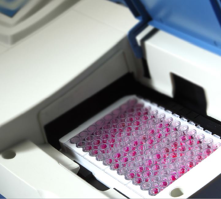 Analizatory do identyfikacji drobnoustrojów i lekowrażliwości ERBA Mikrola