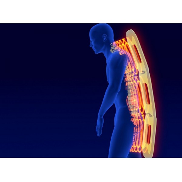 Aparaty do magnetoterapii Biomag LUMINA CLINIC