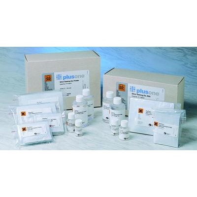 Barwniki do elektroforezy GE Healthcare PlusOne Zestaw barwienia srebrem Białka