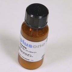 Barwniki do elektroforezy GE Healthcare PlusOne Zestaw barwienia srebrem Białka