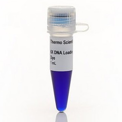Barwniki do elektroforezy THERMO SCIENTIFIC Loading dye solution