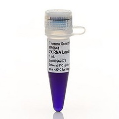 Barwniki do elektroforezy THERMO SCIENTIFIC RNA loading dye